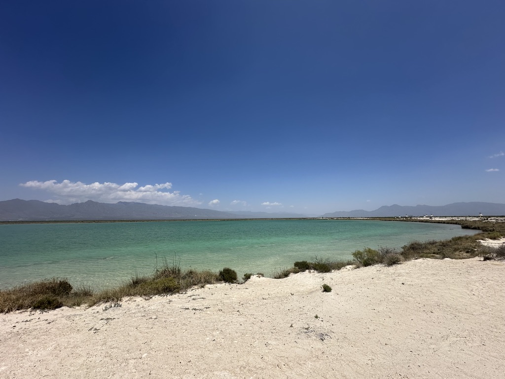 Cuatro Ciénegas