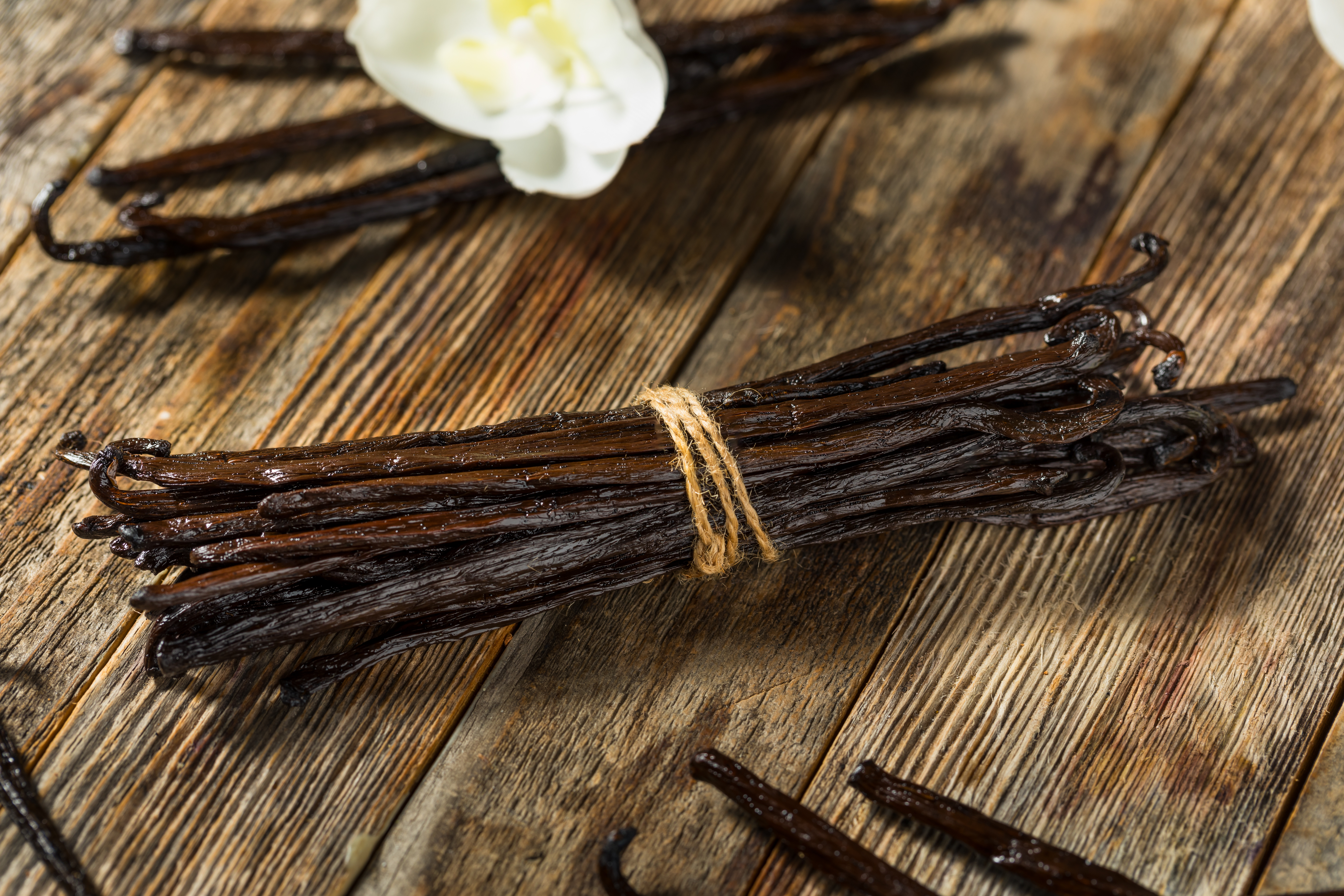 Vanilla