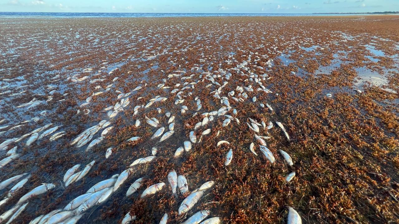 A Danger Beneath the Surface